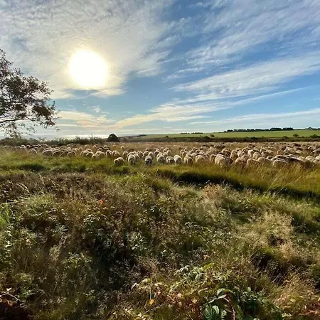 Prázdninový dům Schroeder's House House 1a Kampen