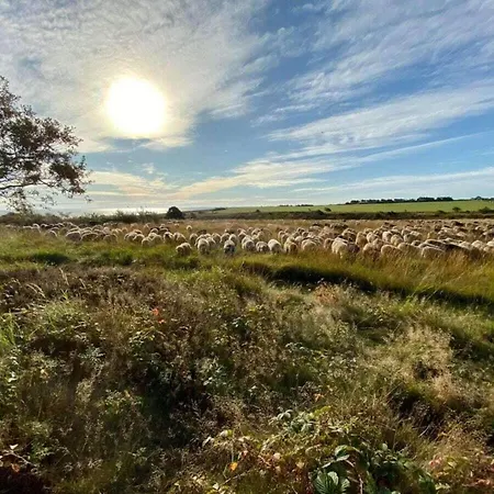 Schroeder's House House 1a