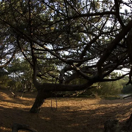 Ferienhaus Schroeder's House House 1a Kampen
