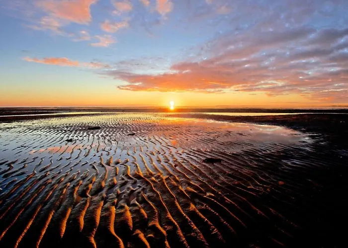 Schroeder's House House 1a Semesterbostad